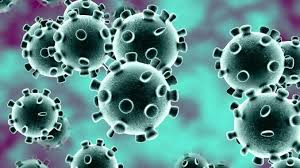 Coronavirus: al via la Fase 2